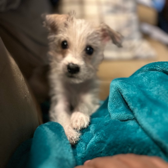 Meet your Posher, Latasha - Picture 9 of 14